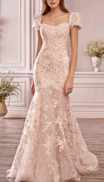 1025 Dresses & Skirts - COPY - Wedding dress